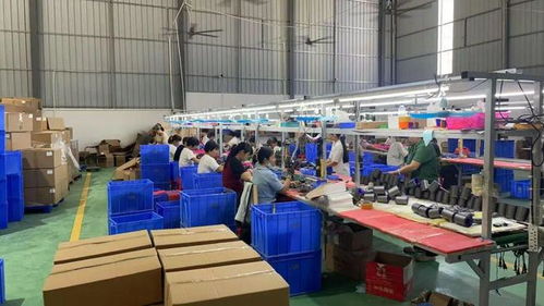 點贊！化州這個鎮“微工廠”遍地開花，留守婦女掙錢顧家兩不誤