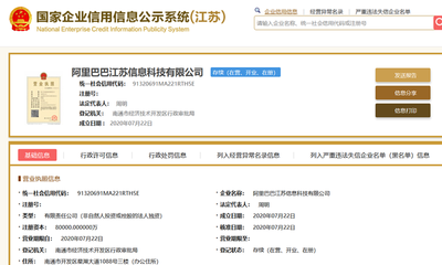 阿里加碼布局集成電路產(chǎn)業(yè) 開啟計算機軟硬件及輔助設備批發(fā)新篇章