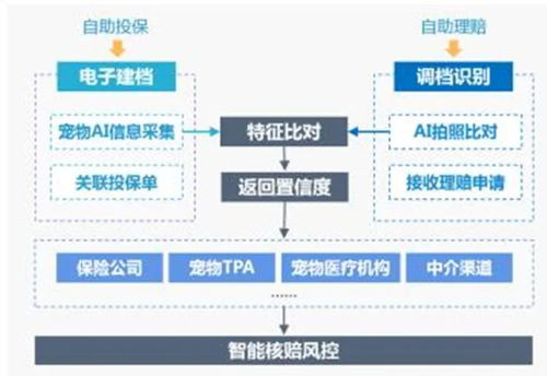 悅保科技 保險(xiǎn)行業(yè)視覺ai數(shù)字化解決方案 入選 鑫智獎(jiǎng) 榜單